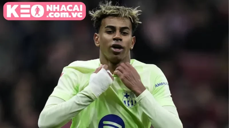 Dự đoán và Tỷ lệ cược