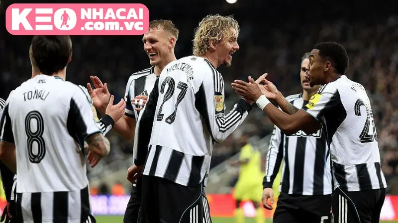 Đánh giá chuyên sâu hai đội Newcastle United vs Manchester City theo Kèo Nhà Cái VC